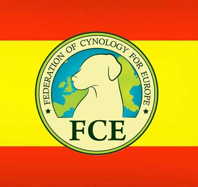 FCE-.jpg