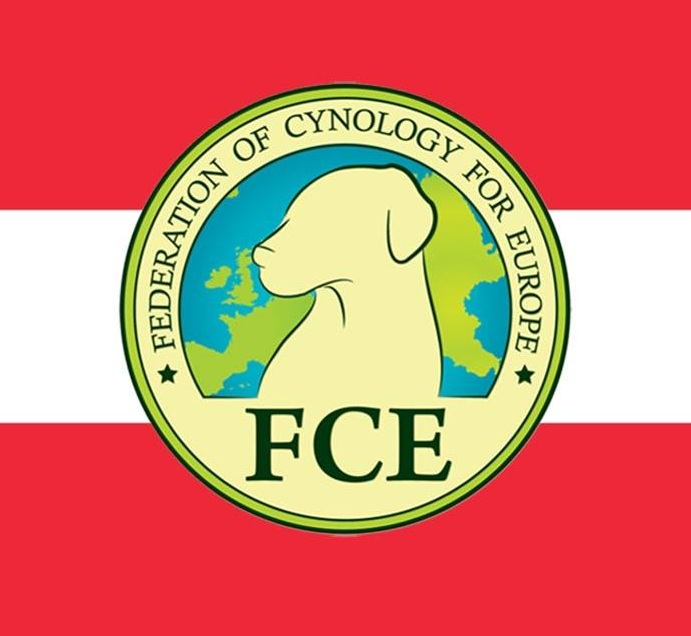 FCE-A.jpg