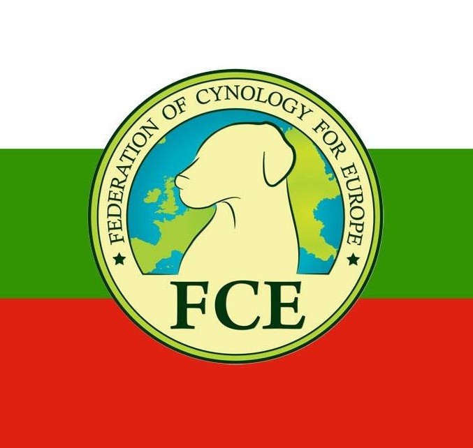 FCE-BG.jpg