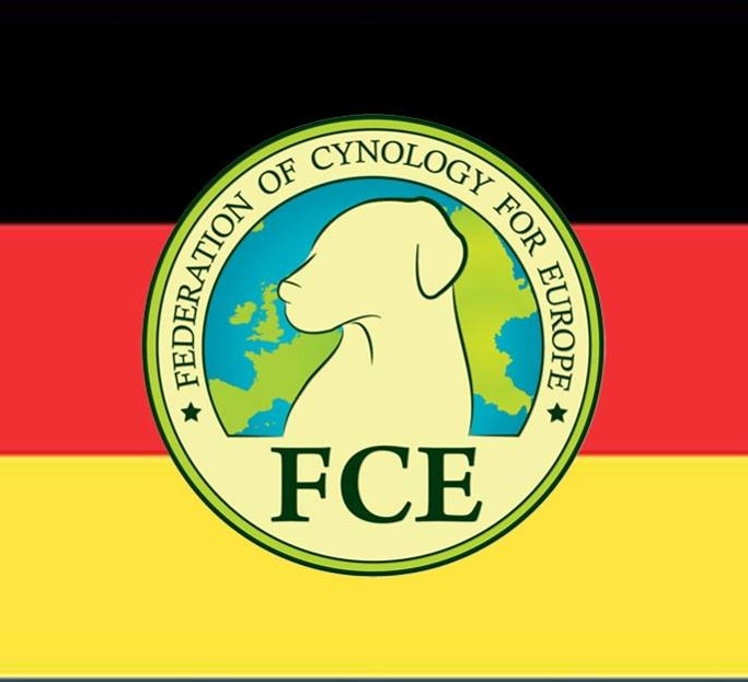FCE-D.jpg