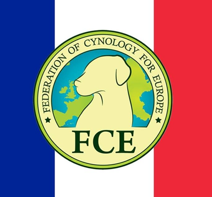 FCE-F.jpg