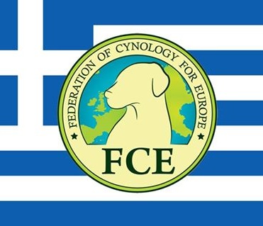 FCE-GR.jpg