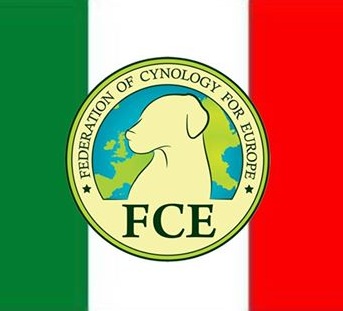 FCE-IT.jpg