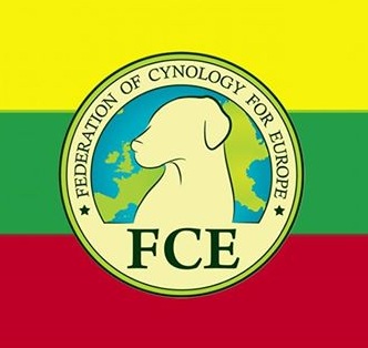 FCE-LT.jpg