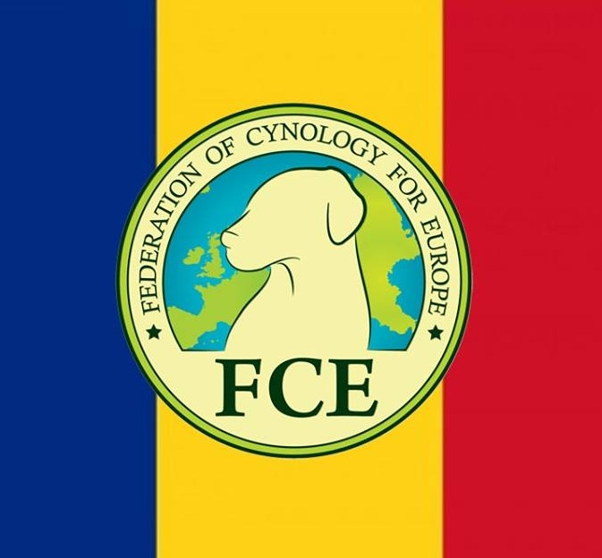 FCE-RO.jpg