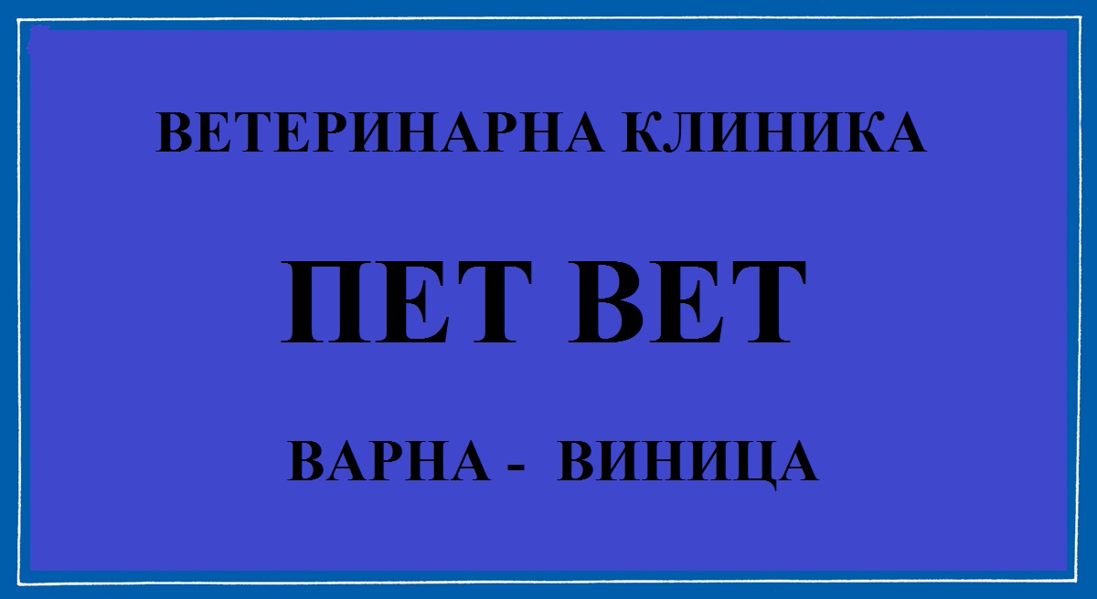 PET-VET---Varna.jpg