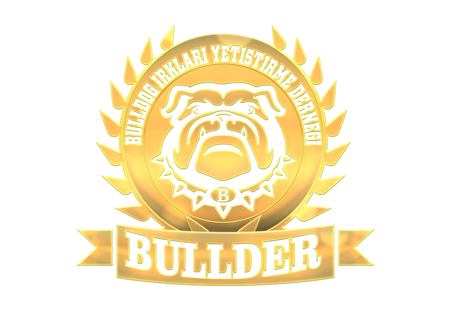 1-logo-bullder.png