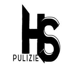 Logo-HS.png