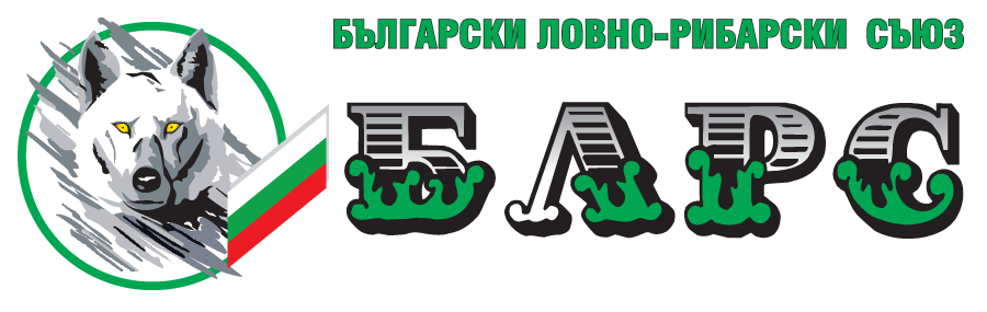 logo-.png