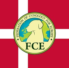 FCE-DK.jpg