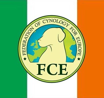 FCE-I.jpg