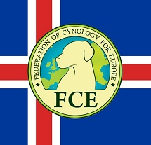 FCE-IS.jpg