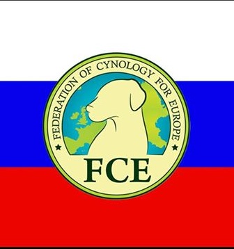 FCE-RUS.jpg