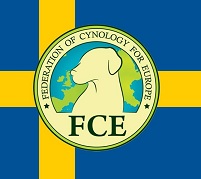 FCE-S.jpg