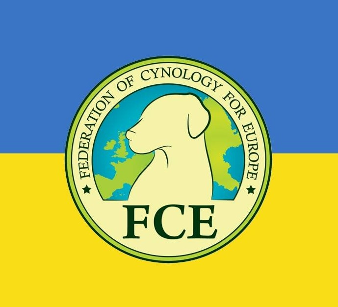 FCE-UA.jpg