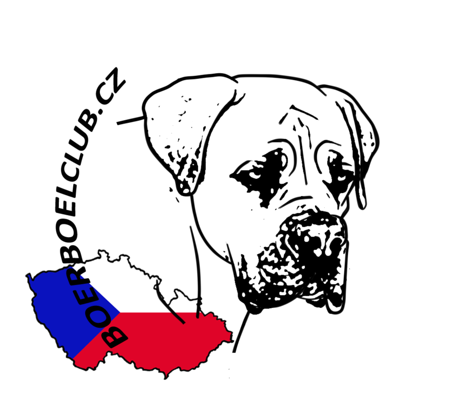 29313279_10204316964360182_1166672349211131904_n.png